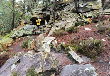 Tocht Stappen Fontainebleau - vert galant 27octobre 2023 - Photo