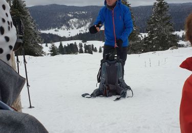 Trail Snowshoes Divonne-les-Bains - La Vatay Suisse - Photo