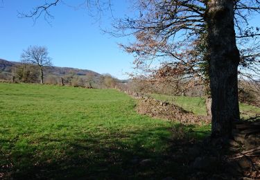 Tour Wandern Saint-Côme-d'Olt - roquelaure - Photo