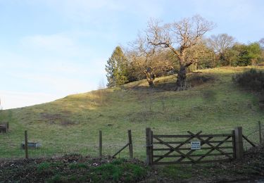 Tour Zu Fuß Wyre Forest - Ribbesford Circular Trail - Photo