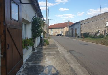 Tour Auto Les Hauts-de-Chée - Colombey les 2 églises et le lac du Der depuis Les Hauts de Chée - Photo