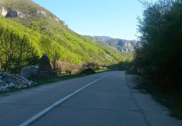 Percorso A piedi Băile Herculane - Băile Herculane (DN 67D) în dreptul crucii Ghizelei - Cheile Țăsnei - Photo