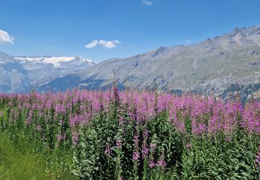 Tocht Stappen Val-Cenis - Savoie_Val-Cenis_Lac de l'Arcelle - Photo