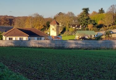 Tour Rennrad Paron - 186 NE70 La Garenne # Thorigny sur Oreuse-01 - Photo