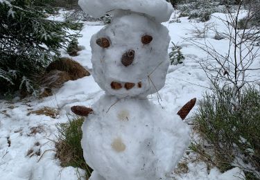 Trail Walking Jalhay - Fagnes - Photo