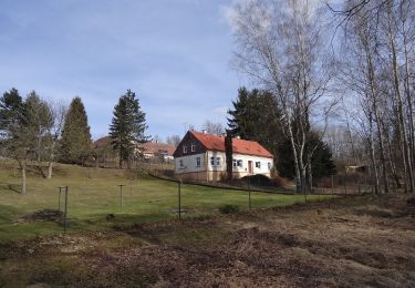 Trail On foot Liberec - Lesní naučná stezka Harcov - Photo