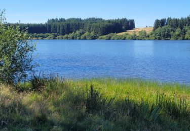 Trail Electric bike Le Puy-en-Velay - Le puy en Velay \ Lac de Malaguet  - Photo