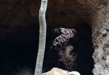 Randonnée Marche Le Muy - LE MUY : Grottes Baume Rainaude, le Leyron et le Rouet  2019-04-24 (RQB) - Photo