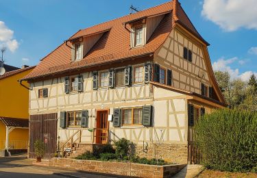 Tour Zu Fuß Vaihingen an der Enz - VE4 Eselsberg-Rundweg - Photo