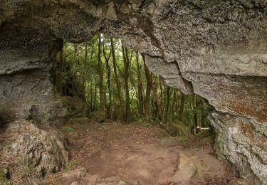 Tour Zu Fuß Praia (São Mateus) - Volta à Caldeira - Furna do Enxofre - Photo