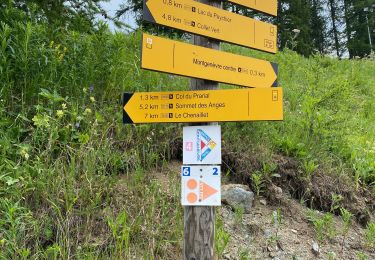 Trail Walking Montgenèvre - Le collet vert  - Photo