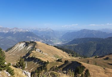 Trail Walking Bellecombe-en-Bauges - banc plat - Photo