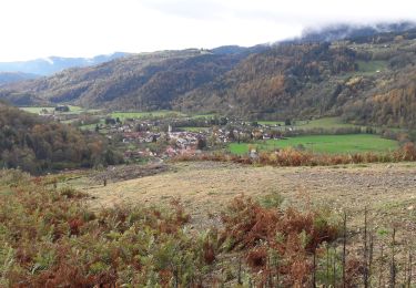 Tour Wandern Krüt - 2019.11.06.Kruth - Photo