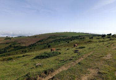 Trail Walking Ganac - Prat d'Albis - Photo