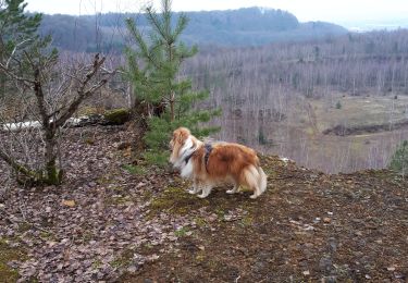 Tour Wandern Differdingen - Fond de Grass2 - Photo