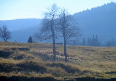 Excursión A pie  - Ruiny szkoły - do Harrachova (granica) - Photo