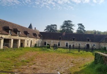 Tocht Stappen Choussy - choussy gs grand - Photo