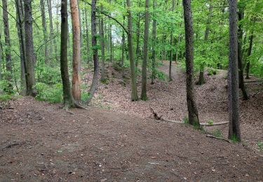 Trail On foot Alfter - Ville A40 Olsdorf - Photo