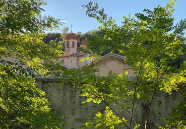 Tour Wandern Méounes-lès-Montrieux - Chartreuse  - Photo