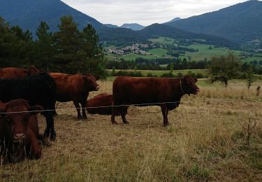 Randonnée Marche Lus-la-Croix-Haute - lus la croix haute  - Photo