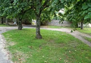 Trail Walking Auvers-Saint-Georges - Auvers-Saint-Georges - Photo