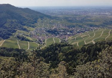 Excursión A pie  - Yburg Rundweg - Photo