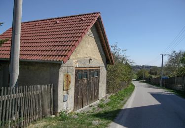 Percorso A piedi Jistebnice - NS Jistebnickými sady - Photo