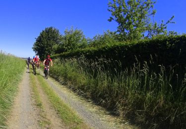 Randonnée V.T.T. Cerfontaine - VTT entre les lac de Silenrieux - Photo