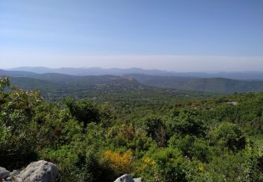 Trail Walking Saint-Vallier-de-Thiey - Piste des malines - Photo