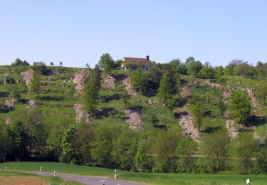 Randonnée A pied Aub - Liebliches Taubertal 26 Zur St. Kunigunde - Photo