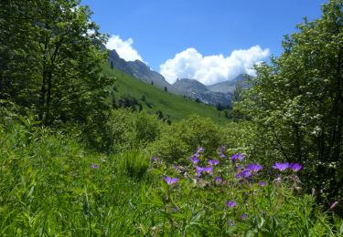 Percorso Marcia Villard-de-Lans - Col Vert Sentier Gobert - Photo