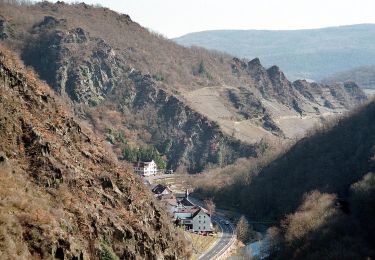 Tocht Te voet Altenahr - Altenahr Rundweg 2 - Photo