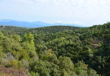 Tour Wandern Saint-Paul-en-Forêt - SityTrail - LAC DE MEAULT ?VERSION 15 KMS 340 M - Photo