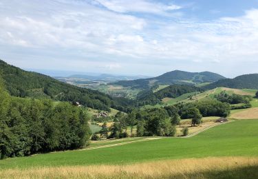 Randonnée A pied Erlinsbach (AG) - Salhöhe - Obererlinsbach - Photo