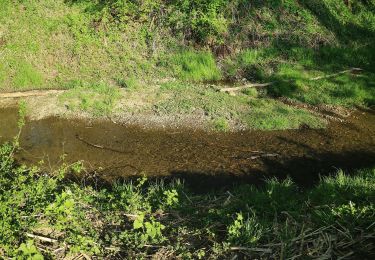 Percorso A piedi Hausmannstätten - Rundwanderweg 12 - Photo