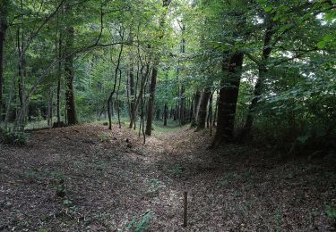 Tocht Te voet Lebring-Sankt Margarethen - Hengist Kulturwanderweg Teufelsgrabenrunde - Photo