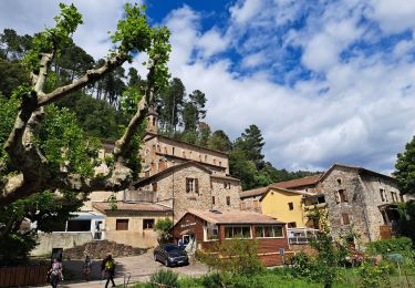 Excursión Senderismo Chambon - du Luech à l'Homol - Photo