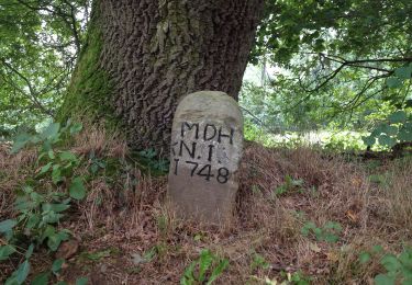 Tocht Te voet Immenhausen - Ahlberg-Reinersen-Rundweg - Photo