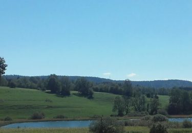 Trail Walking Chaux-des-Crotenay - GPX_Lac_à_La_Dame - Photo