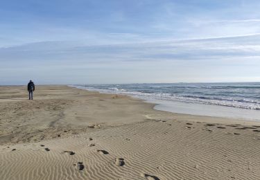 Randonnée Marche Saintes-Maries-de-la-Mer - La gacholle - Photo