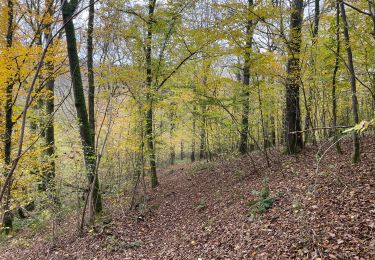 Trail Walking Florennes - Balade Morville - Photo