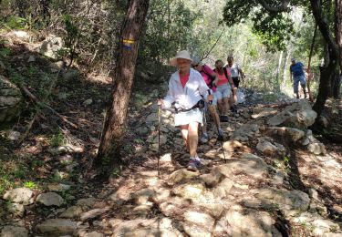 Tour Wandern Montauroux - Les gorges de la Siagne et les chênes pluricentenaires - Photo