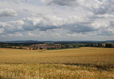 Tour Zu Fuß Hammersbach - Panoramaweg - Photo