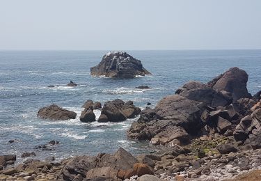 Trail Walking L'Île-d'Yeu - ile d'Yeu est - Photo