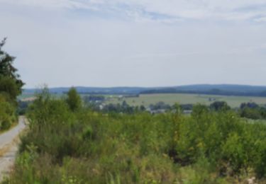 Tocht Stappen Saint-Hubert - rando arville 13/08/2020 - Photo