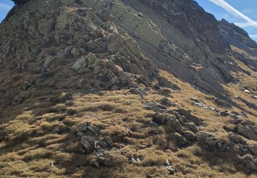 Tour Wandern Bagnères-de-Luchon - Pic Sacroux eco - Photo