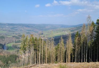 Tocht Stappen Stavelot - coo - Photo