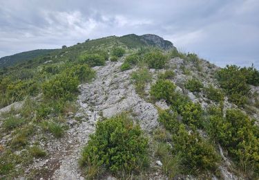 Excursión Senderismo Teyssières - Randonnée au départ de Teyssières (Le Cougoir, La Lance) - Photo