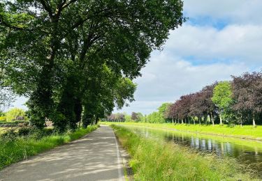 Randonnée Marche Lanaken - La réserve naturelle Oud Weerd à Oud-Rekem - Photo