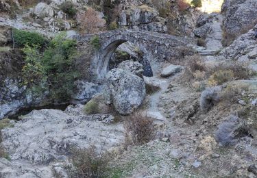 Tocht Stappen Asco - pont génois ASCO - Photo